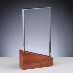 68184 klaas-puitauhind