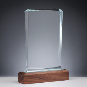 68198 klaas-puitauhind